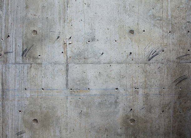 Best Custom Concrete Contractor  in Ortonville, MN